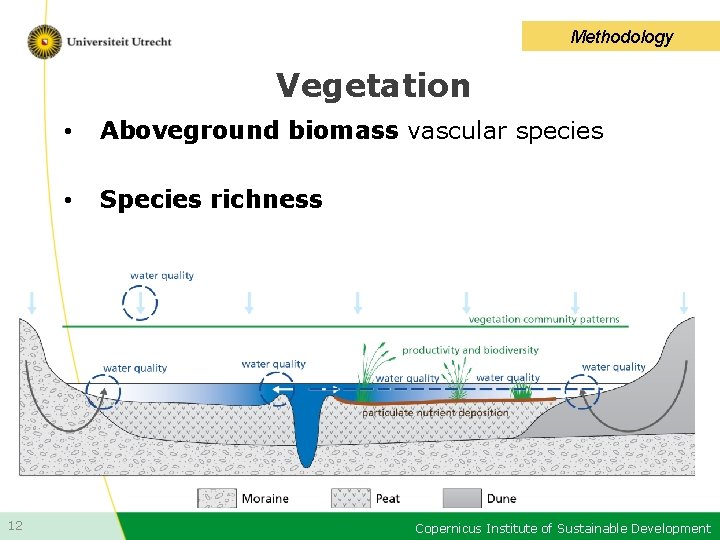 Methodology Vegetation 12 • Aboveground biomass vascular species • Species richness Copernicus Institute of