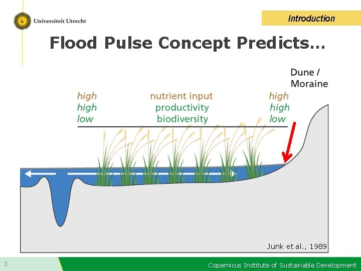 Introduction Flood Pulse Concept Predicts… Junk et al. , 1989 3 Copernicus Institute of