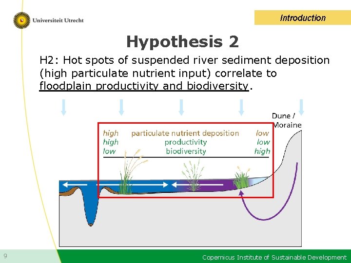 Introduction Hypothesis 2 H 2: Hot spots of suspended river sediment deposition (high particulate