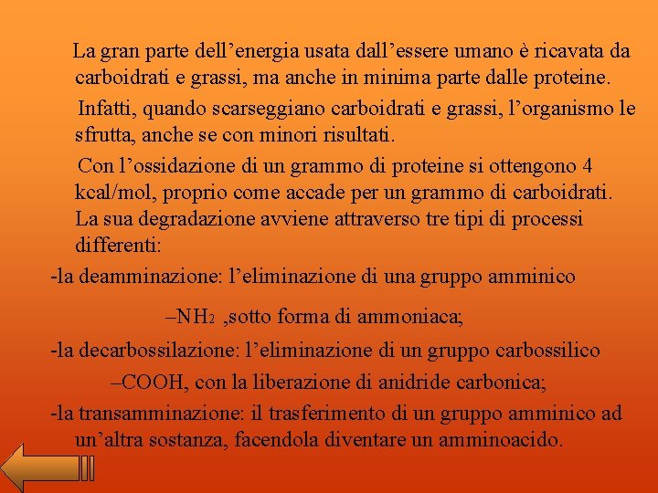 La gran parte dell’energia usata dall’essere umano è ricavata da carboidrati e grassi, ma