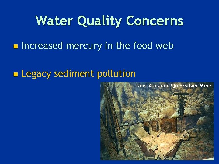 Water Quality Concerns n Increased mercury in the food web n Legacy sediment pollution