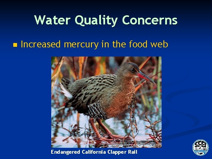 Water Quality Concerns n Increased mercury in the food web www. cargillsalt. com Endangered