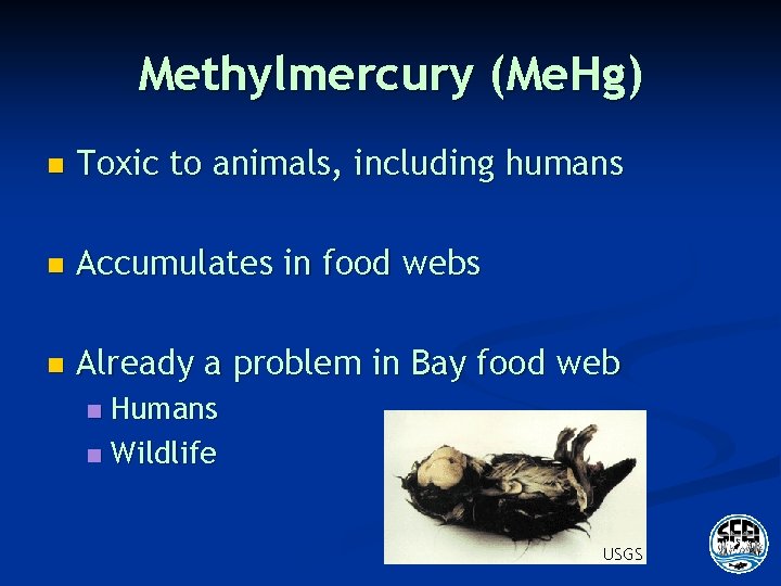 Methylmercury (Me. Hg) n Toxic to animals, including humans n Accumulates in food webs