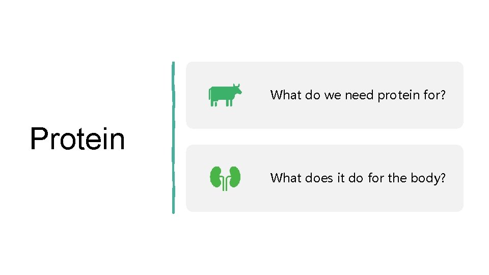What do we need protein for? Protein What does it do for the body? What do we need protein for? Protein What does it do for the body?