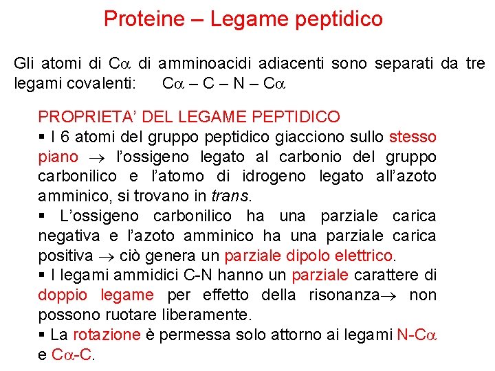 Proteine – Legame peptidico Gli atomi di Ca di amminoacidi adiacenti sono separati da