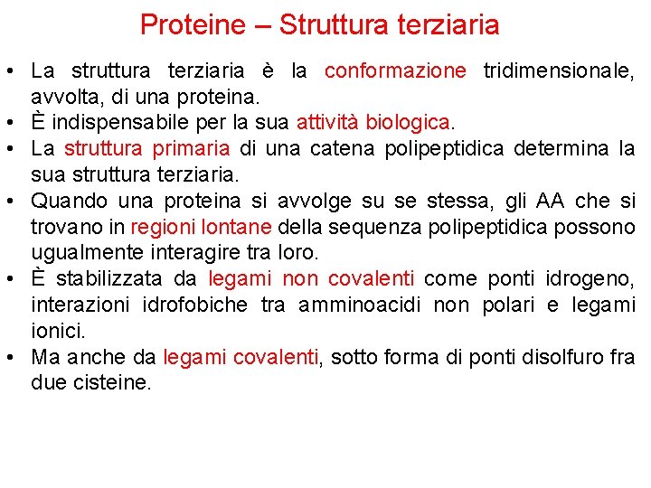 Proteine – Struttura terziaria • La struttura terziaria è la conformazione tridimensionale, avvolta, di
