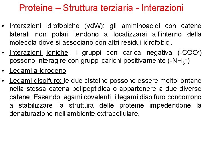 Proteine – Struttura terziaria - Interazioni • Interazioni idrofobiche (vd. W): gli amminoacidi con