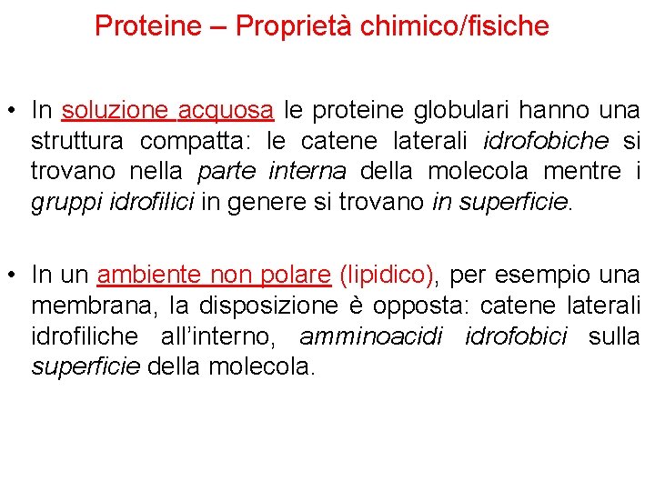 Proteine – Proprietà chimico/fisiche • In soluzione acquosa le proteine globulari hanno una struttura