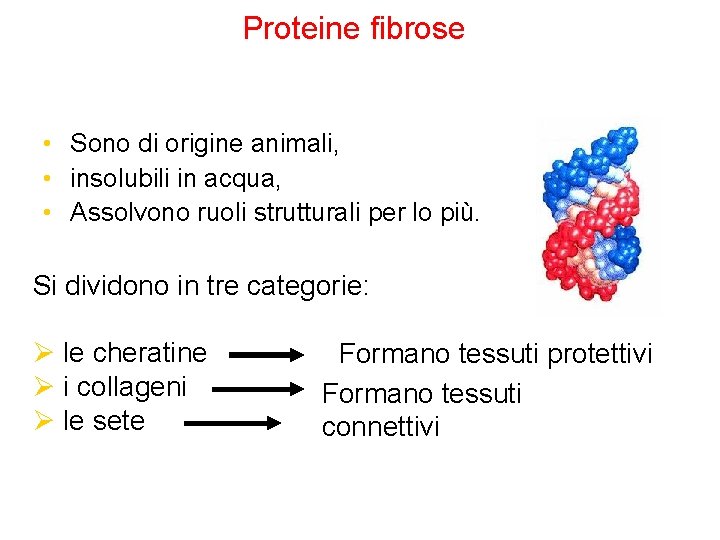 Proteine fibrose • Sono di origine animali, • insolubili in acqua, • Assolvono ruoli