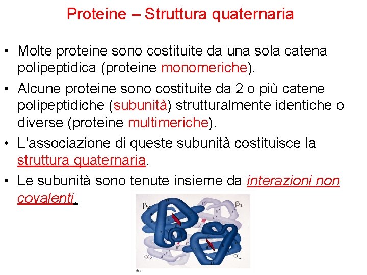 Proteine – Struttura quaternaria • Molte proteine sono costituite da una sola catena polipeptidica