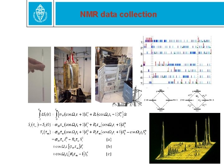 NMR data collection 