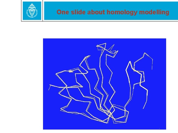 One slide about homology modelling 