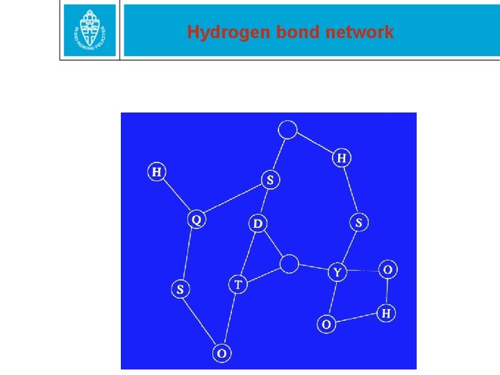 Hydrogen bond network 