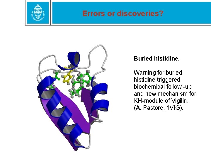 Errors or discoveries? Buried histidine. Warning for buried histidine triggered biochemical follow -up and