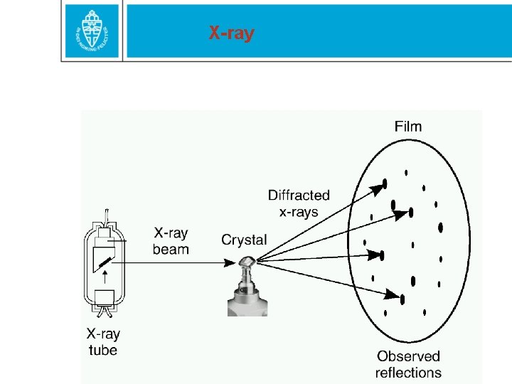 X-ray 