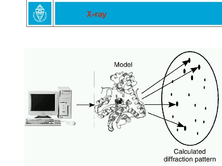 X-ray 