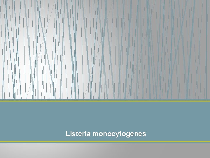 Listeria monocytogenes 