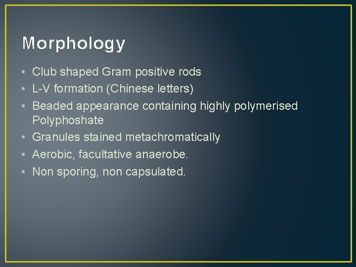 Morphology • Club shaped Gram positive rods • L-V formation (Chinese letters) • Beaded