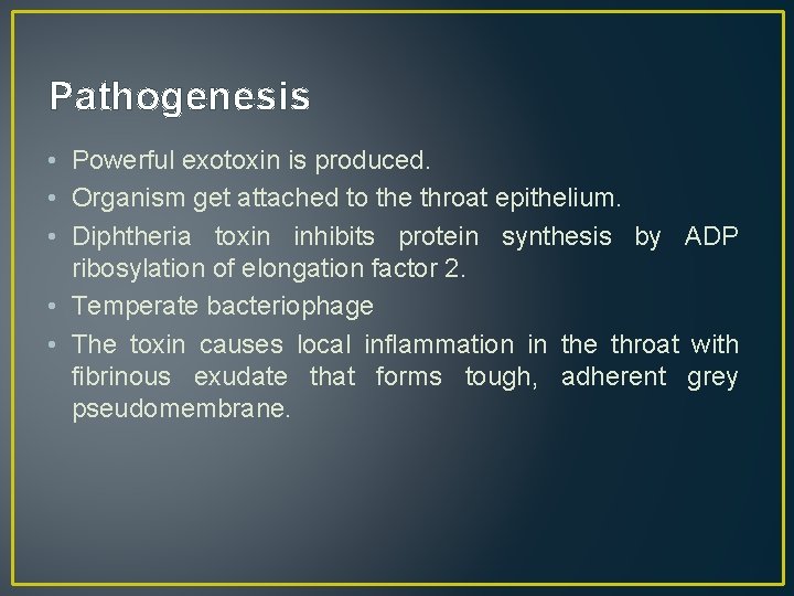 Pathogenesis • Powerful exotoxin is produced. • Organism get attached to the throat epithelium.