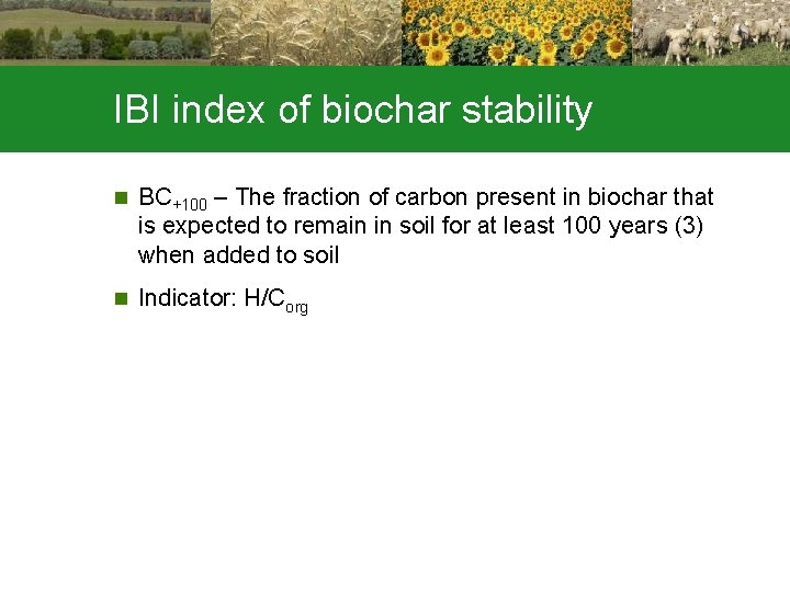 IBI index of biochar stability n BC+100 – The fraction of carbon present in