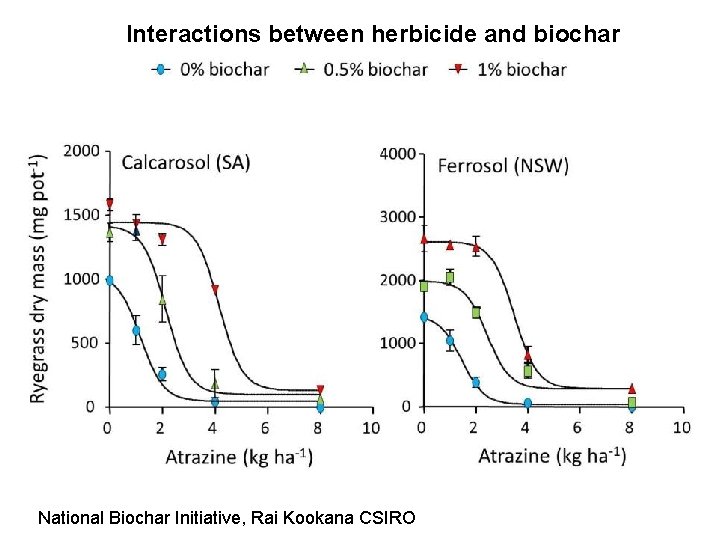 Interactions between herbicide and biochar National Biochar Initiative, Rai Kookana CSIRO 