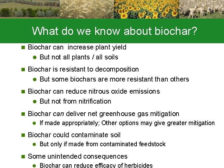 What do we know about biochar? n Biochar can increase plant yield l But
