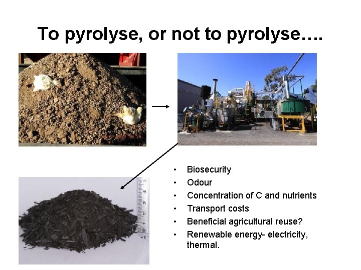To pyrolyse, or not to pyrolyse…. • • • Biosecurity Odour Concentration of C