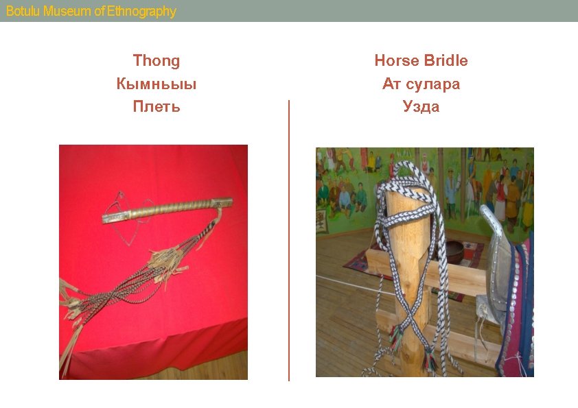 Botulu Museum of Ethnography Thong Кымньыы Плеть Horse Bridle Ат сулара Узда 