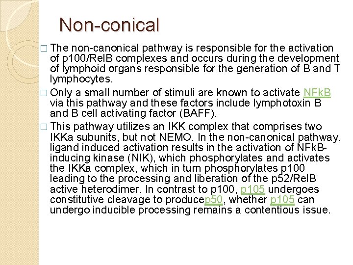 Non-conical � The non-canonical pathway is responsible for the activation of p 100/Rel. B Non-conical � The non-canonical pathway is responsible for the activation of p 100/Rel. B