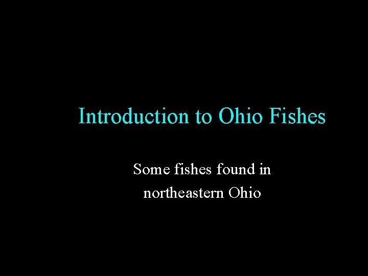 Introduction to Ohio Fishes Some fishes found in northeastern Ohio Introduction to Ohio Fishes Some fishes found in northeastern Ohio