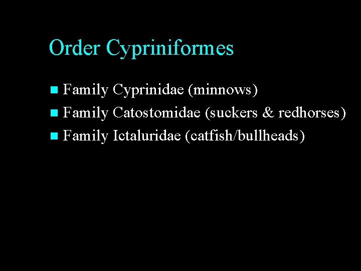 Order Cypriniformes Family Cyprinidae (minnows) n Family Catostomidae (suckers & redhorses) n Family Ictaluridae Order Cypriniformes Family Cyprinidae (minnows) n Family Catostomidae (suckers & redhorses) n Family Ictaluridae