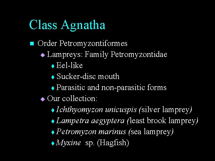 Class Agnatha n Order Petromyzontiformes u Lampreys: Family Petromyzontidae t Eel-like t Sucker-disc mouth Class Agnatha n Order Petromyzontiformes u Lampreys: Family Petromyzontidae t Eel-like t Sucker-disc mouth