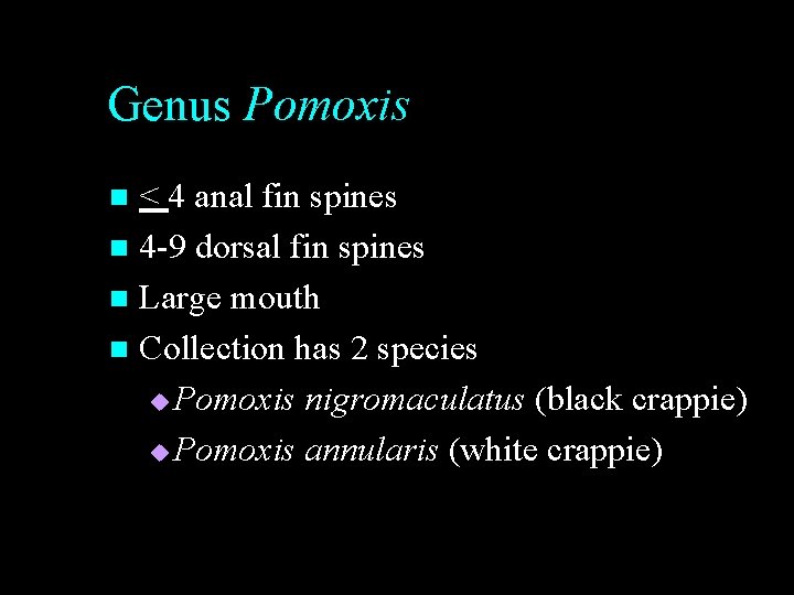 Genus Pomoxis < 4 anal fin spines n 4 -9 dorsal fin spines n Genus Pomoxis < 4 anal fin spines n 4 -9 dorsal fin spines n