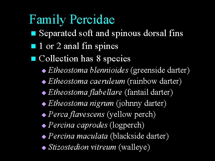 Family Percidae Separated soft and spinous dorsal fins n 1 or 2 anal fin Family Percidae Separated soft and spinous dorsal fins n 1 or 2 anal fin