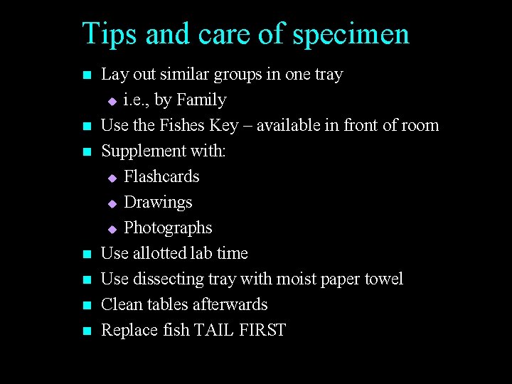Tips and care of specimen n n n Lay out similar groups in one Tips and care of specimen n n n Lay out similar groups in one