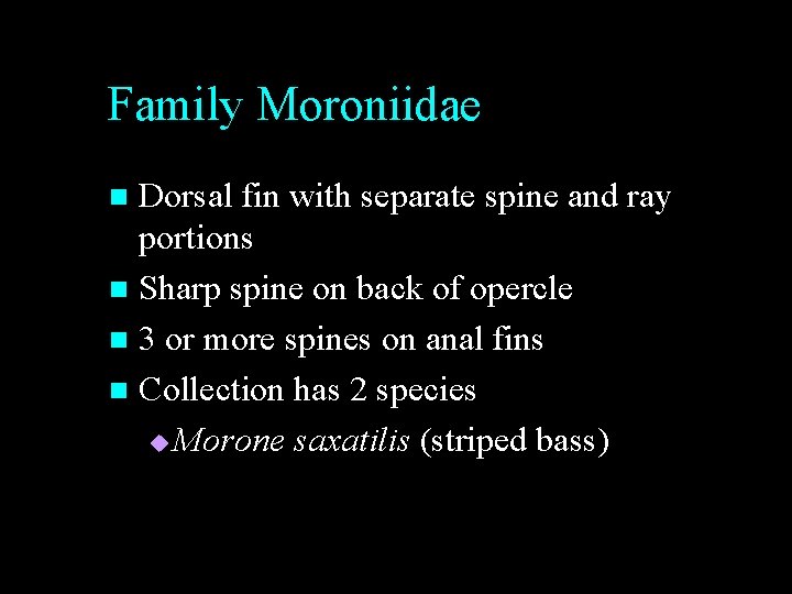 Family Moroniidae Dorsal fin with separate spine and ray portions n Sharp spine on Family Moroniidae Dorsal fin with separate spine and ray portions n Sharp spine on