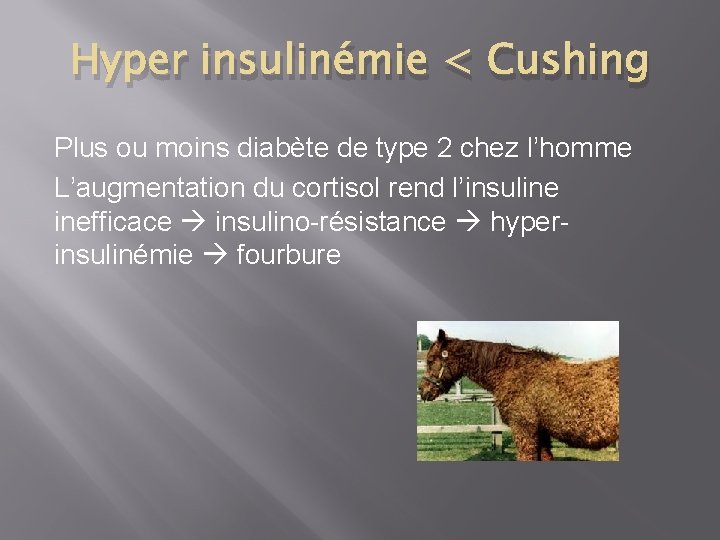 Hyper insulinémie < Cushing Plus ou moins diabète de type 2 chez l’homme L’augmentation Hyper insulinémie < Cushing Plus ou moins diabète de type 2 chez l’homme L’augmentation