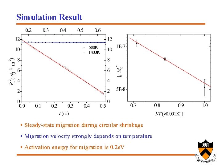 Simulation Result • Steady-state migration during circular shrinkage • Migration velocity strongly depends on