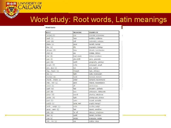 Word study: Root words, Latin meanings 