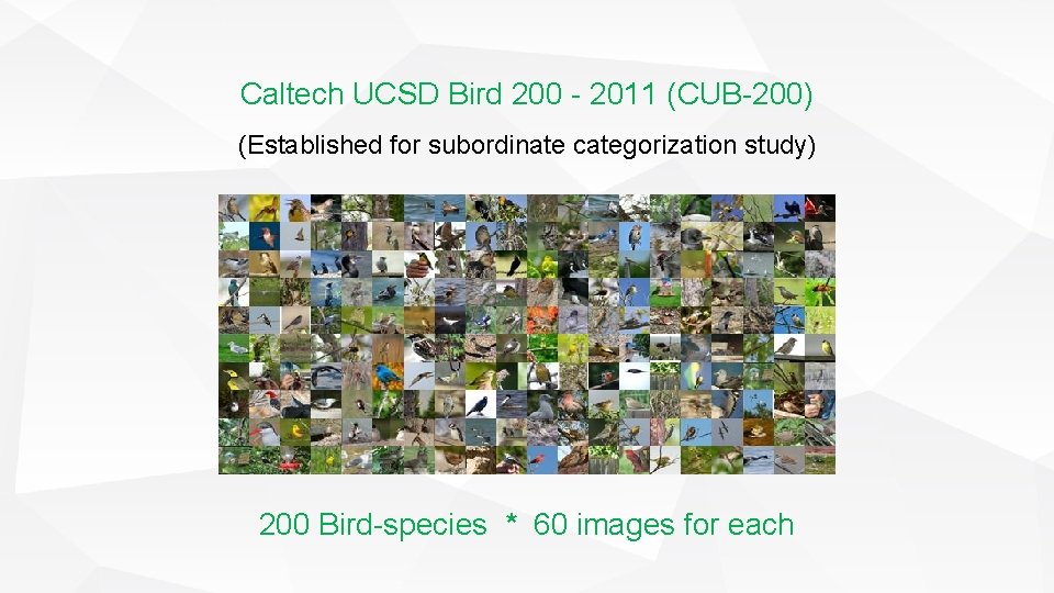 Caltech UCSD Bird 200 - 2011 (CUB-200) (Established for subordinate categorization study) 200 Bird-species Caltech UCSD Bird 200 - 2011 (CUB-200) (Established for subordinate categorization study) 200 Bird-species