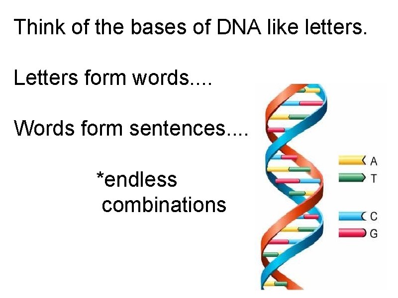Think of the bases of DNA like letters. Letters form words. . Words form
