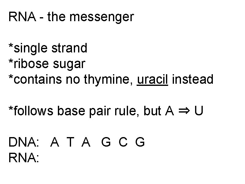 RNA - the messenger *single strand *ribose sugar *contains no thymine, uracil instead *follows