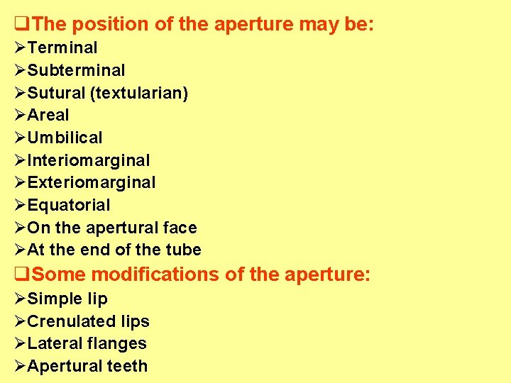 q. The position of the aperture may be: ØTerminal ØSubterminal ØSutural (textularian) ØAreal ØUmbilical q. The position of the aperture may be: ØTerminal ØSubterminal ØSutural (textularian) ØAreal ØUmbilical