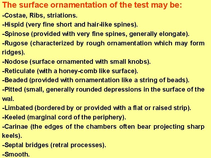 The surface ornamentation of the test may be: -Costae, Ribs, striations. -Hispid (very fine The surface ornamentation of the test may be: -Costae, Ribs, striations. -Hispid (very fine
