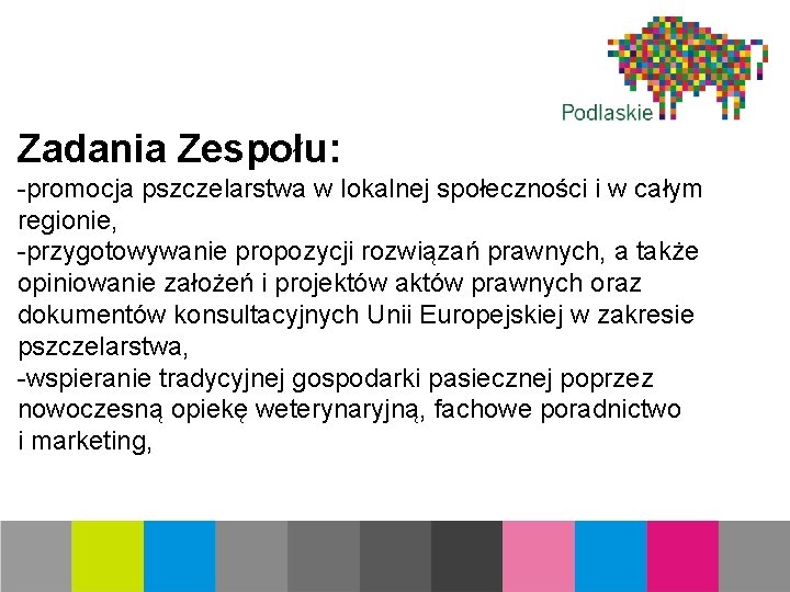 Zadania Zespołu: -promocja pszczelarstwa w lokalnej społeczności i w całym regionie, -przygotowywanie propozycji rozwiązań