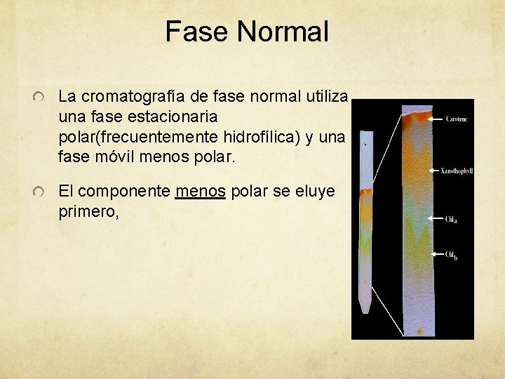 Fase Normal La cromatografía de fase normal utiliza una fase estacionaria polar(frecuentemente hidrofílica) y