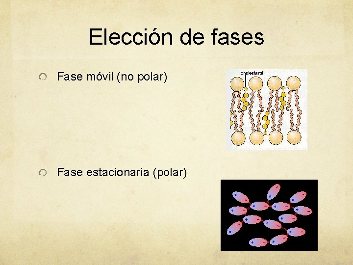 Elección de fases Fase móvil (no polar) Fase estacionaria (polar) 