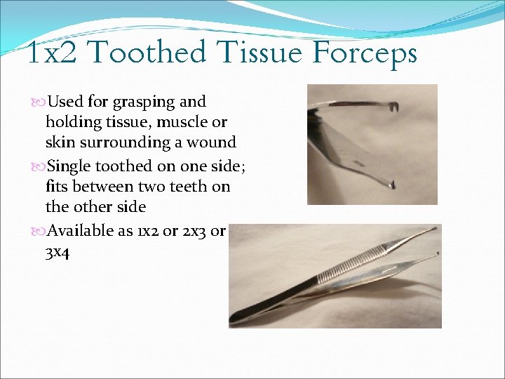 1 x 2 Toothed Tissue Forceps Used for grasping and holding tissue, muscle or