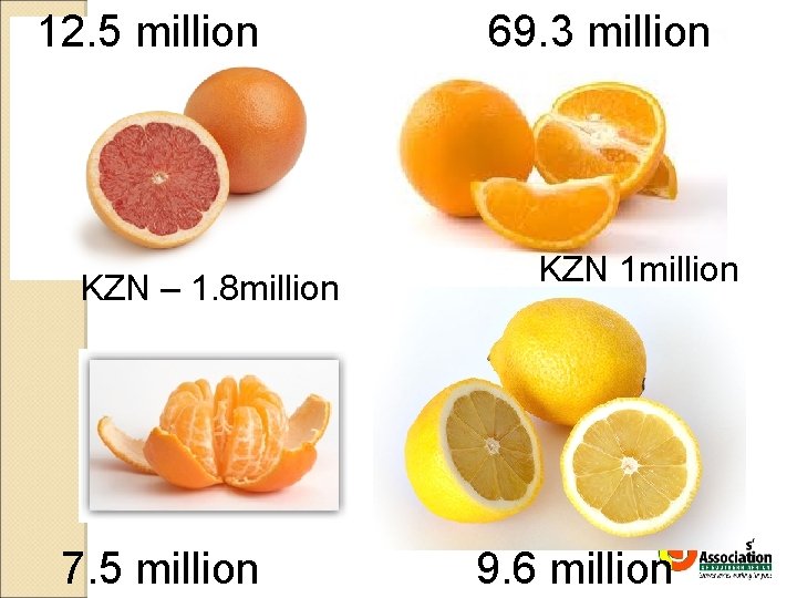 12. 5 million KZN – 1. 8 million 7. 5 million 69. 3 million