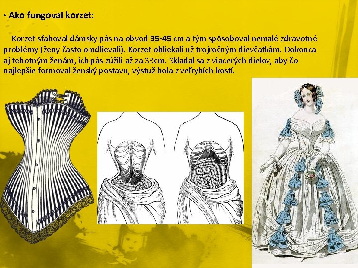 • Ako fungoval korzet: Korzet sťahoval dámsky pás na obvod 35 -45 cm • Ako fungoval korzet: Korzet sťahoval dámsky pás na obvod 35 -45 cm